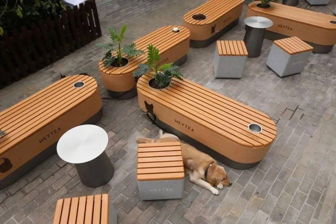 寵物智能用品市場正火熱，企業如何快速入局？